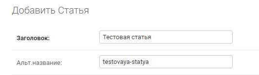 При вводе любых символов заполняется поле URL