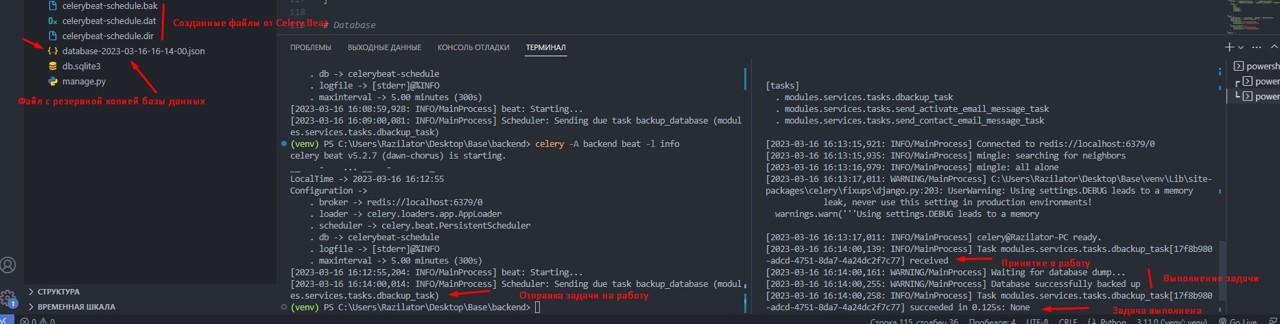 Взаимодействие Celery Beat и Celery, сохраненная база данных