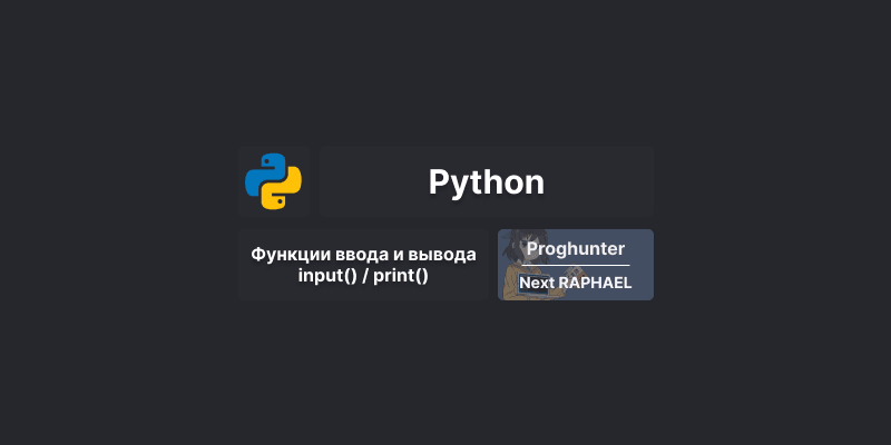 Функции ввода и вывода данных: input(), print() в Python