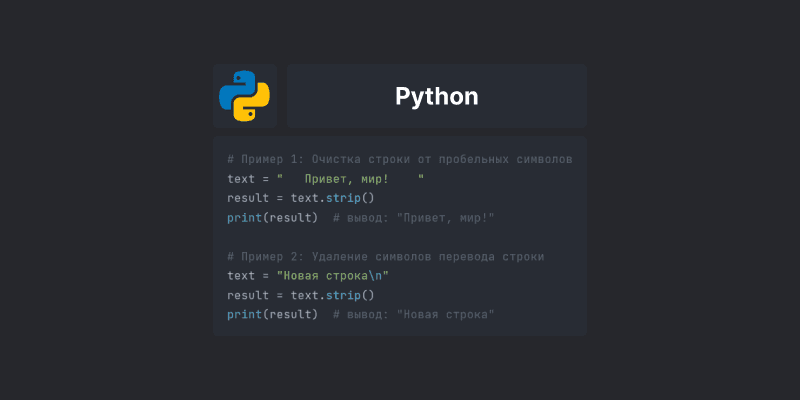 Очистка строк с помощью метода strip() в Python